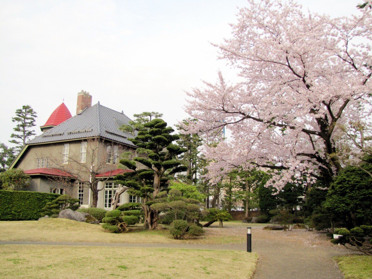 🌸 후지타 기념 정원(후지타키넨테이엔) 이미지 9